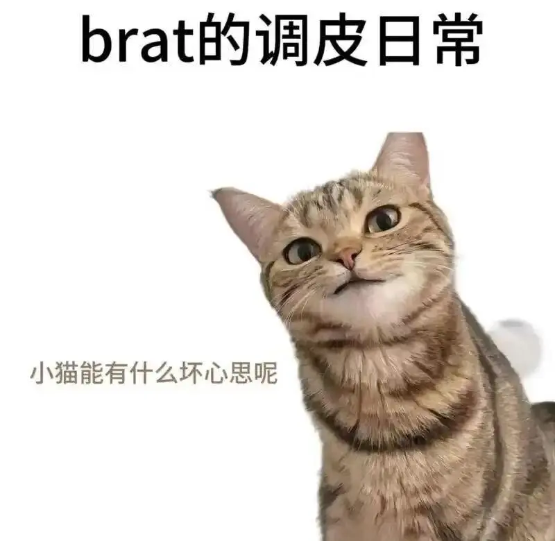西檬之家-新人入圈必备：S属性全解析（包含BDSM核心概念）