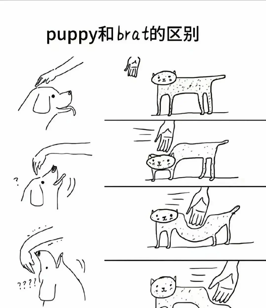 西檬之家-BDSM核心术语解析