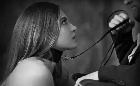 西檬之家-DT是什么？字母圈新人的语言入门指南