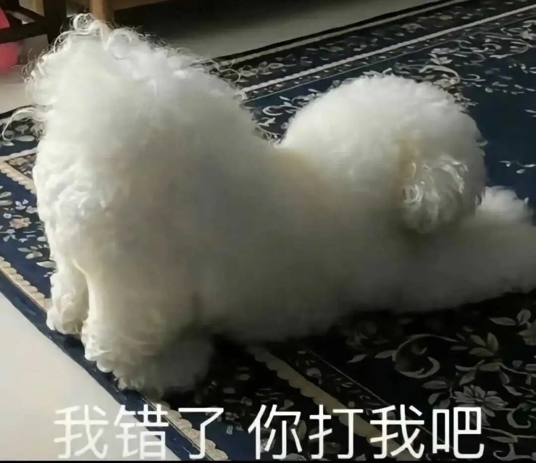 【西檬之家】BDSM新手指南：术语解析与安全入门