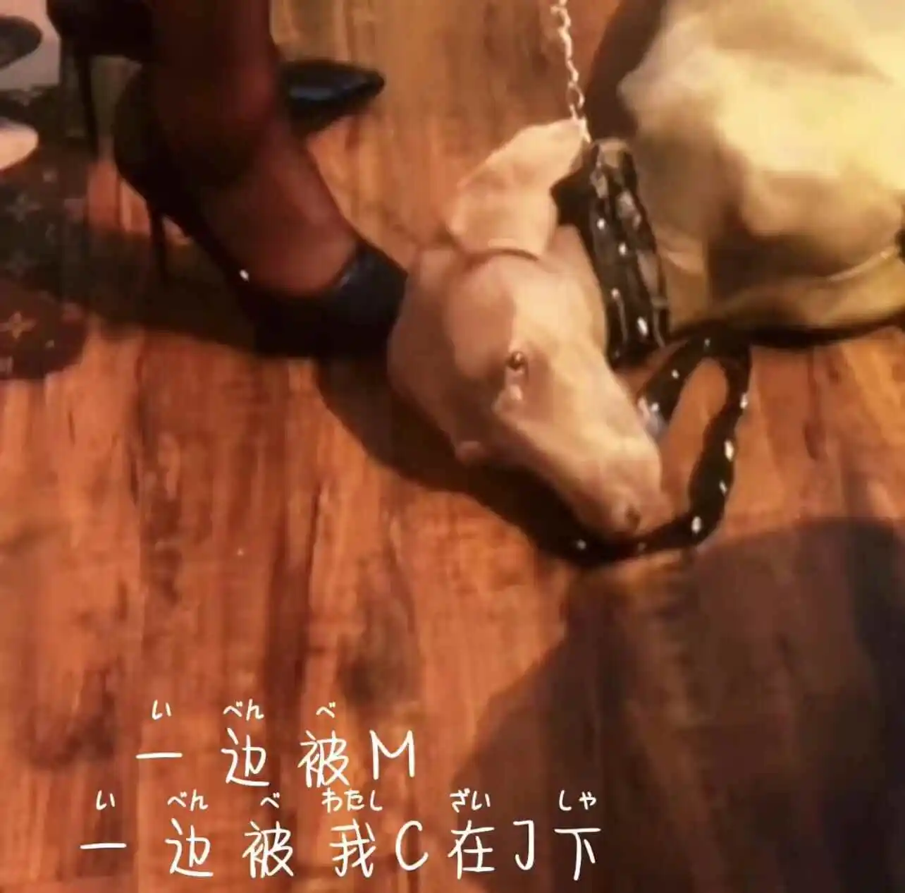 西檬之家-字母圈的BDSM核心术语解析