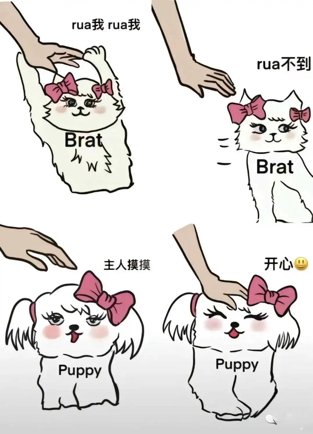 【西檬之家】字母圈新人如何入圈？读懂SSC原则与安全边界