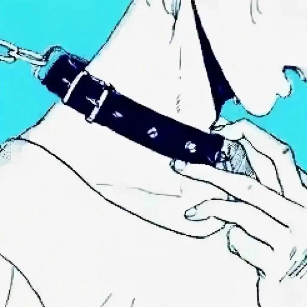 西檬之家-BDSM字母圈新人入圈权威指南