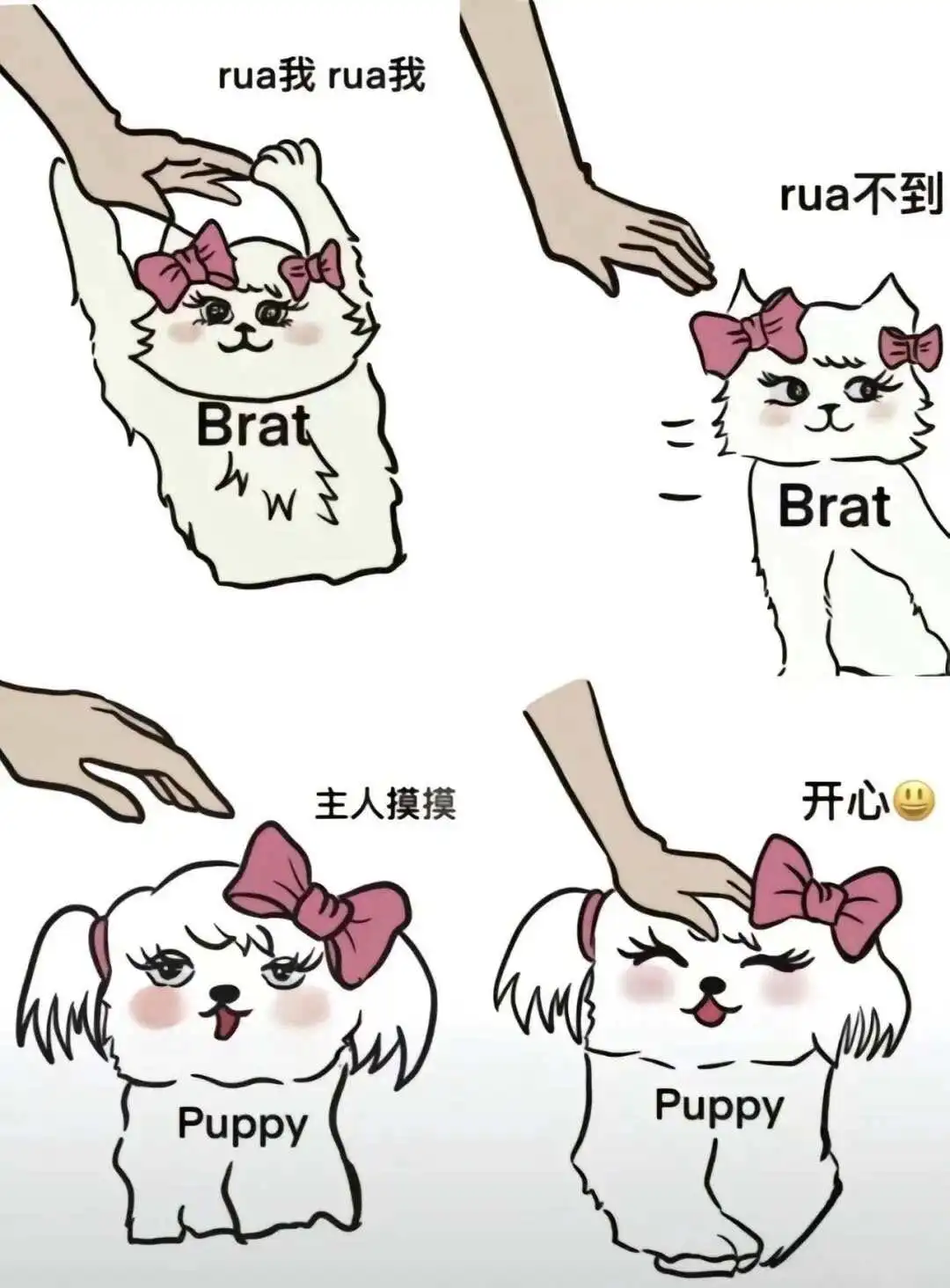 西檬之家-tickle是什么？字母圈TK入门指南