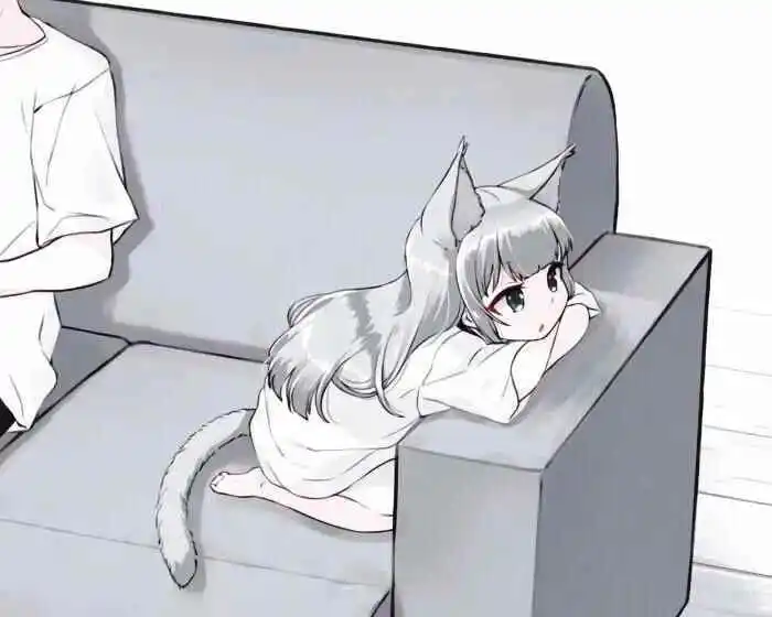 西檬之家-字母圈K8猫系是什么意思？