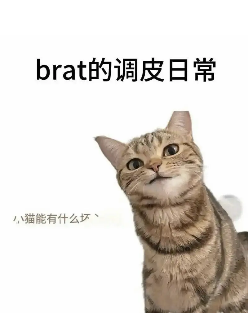 【西檬之家】字母圈新人入圈指南：从基础术语到实践原则